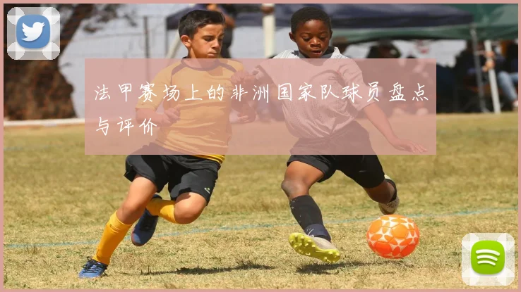 法甲赛场上的非洲国家队球员盘点与评价