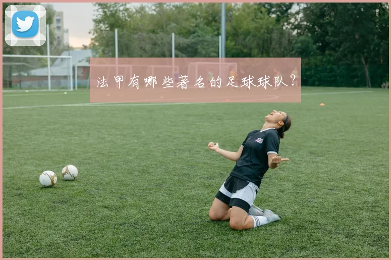 法甲有哪些著名的足球球队？