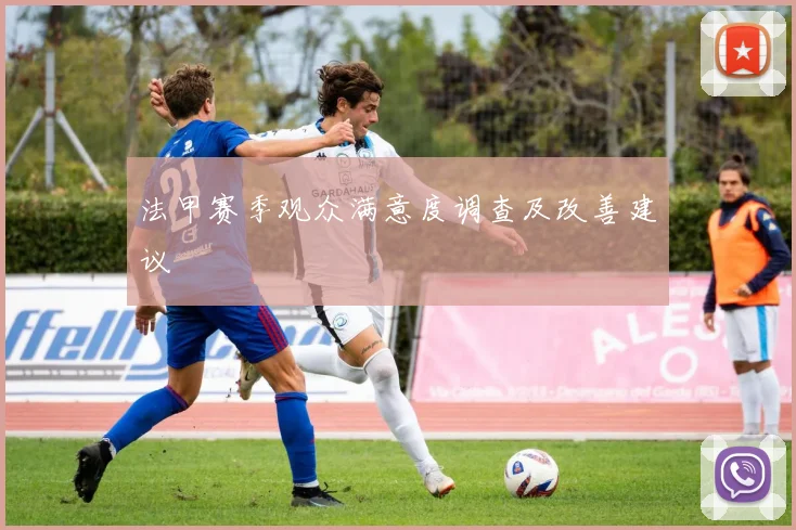 法甲赛季观众满意度调查及改善建议