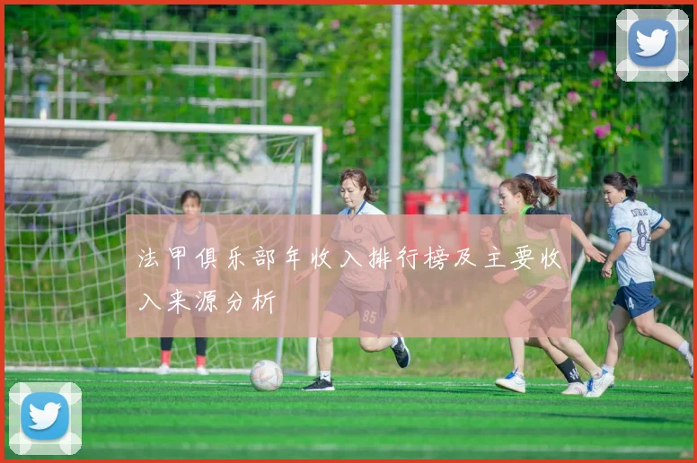 法甲俱乐部年收入排行榜及主要收入来源分析