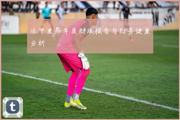 法甲里昂年度财政报告与财务健康分析