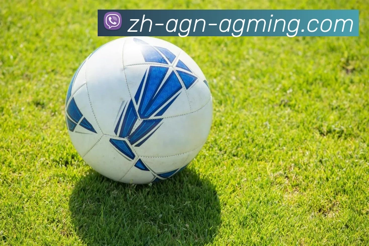 AG娱乐登录平台生态图